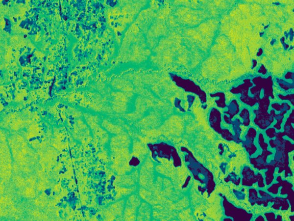 Planet unveils Forest Carbon Monitoring dataset
